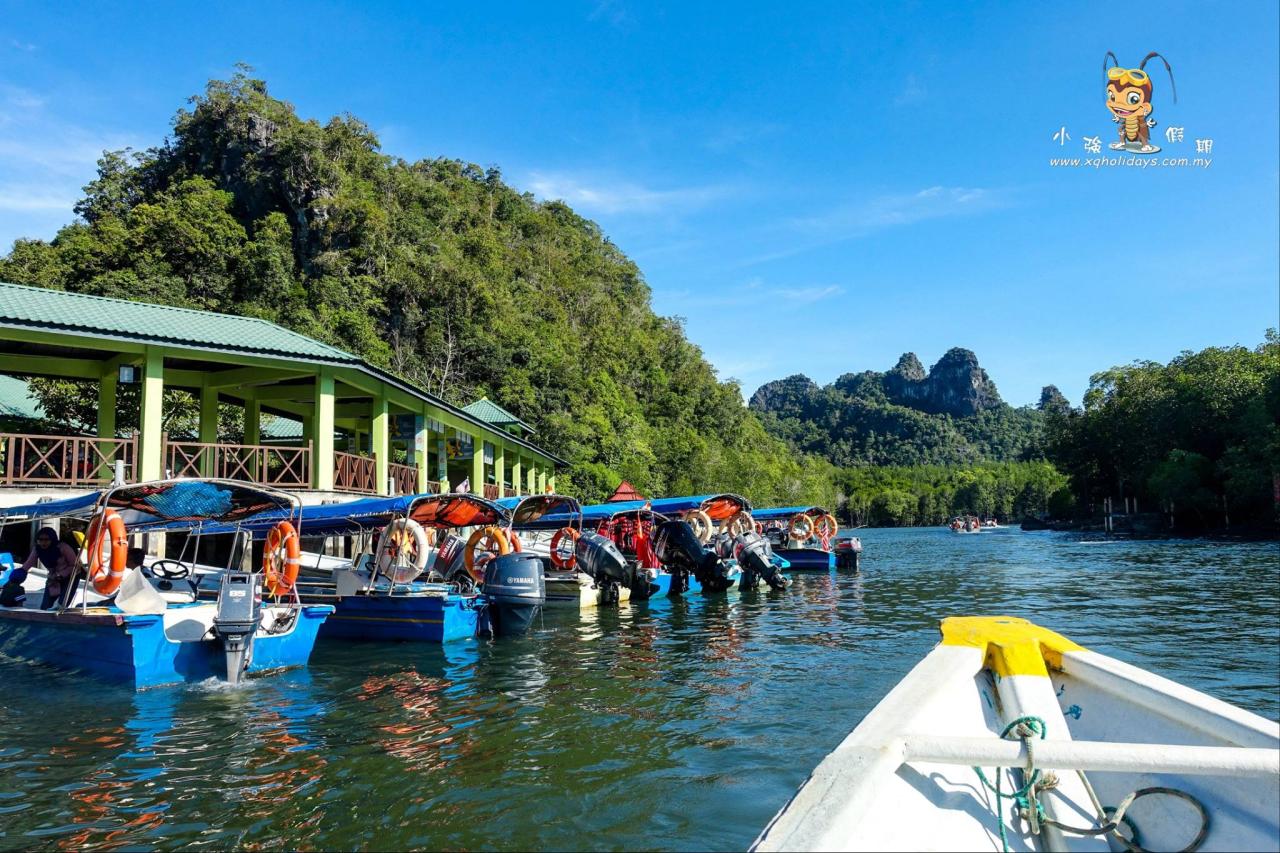 Jelajahi Keindahan Alam Mangrove Tour Langkawi